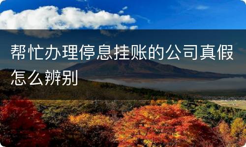 帮忙办理停息挂账的公司真假怎么辨别