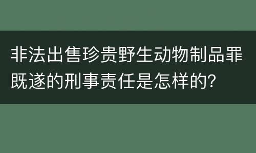非法出售珍贵野生动物制品罪既遂的刑事责任是怎样的？