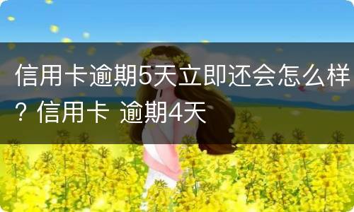 信用卡逾期5天立即还会怎么样? 信用卡 逾期4天