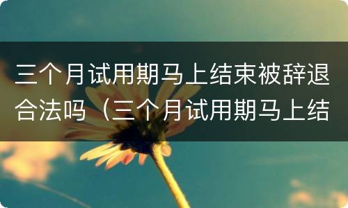 三个月试用期马上结束被辞退合法吗（三个月试用期马上结束被辞退概率大么）