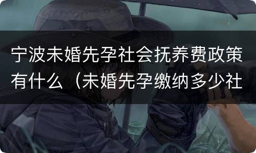宁波未婚先孕社会抚养费政策有什么（未婚先孕缴纳多少社会抚养费）