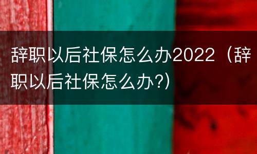 辞职以后社保怎么办2022（辞职以后社保怎么办?）