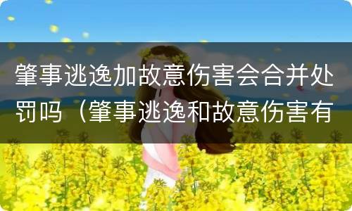 肇事逃逸加故意伤害会合并处罚吗（肇事逃逸和故意伤害有什么区别）
