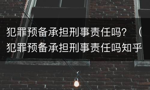 犯罪预备承担刑事责任吗？（犯罪预备承担刑事责任吗知乎）