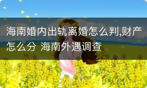 海南婚内出轨离婚怎么判,财产怎么分 海南外遇调查