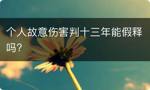 个人故意伤害判十三年能假释吗?