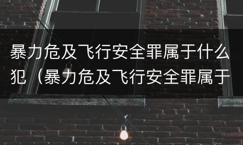 暴力危及飞行安全罪属于什么犯（暴力危及飞行安全罪属于什么犯罪）