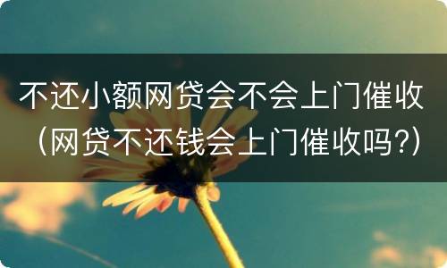 不还小额网贷会不会上门催收（网贷不还钱会上门催收吗?）
