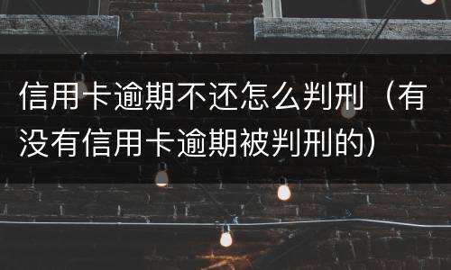 信用卡逾期不还怎么判刑（有没有信用卡逾期被判刑的）