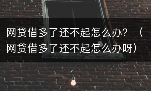 网贷借多了还不起怎么办？（网贷借多了还不起怎么办呀）
