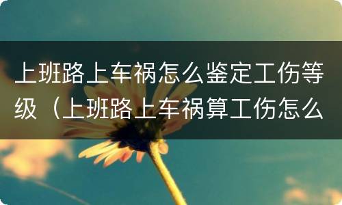 上班路上车祸怎么鉴定工伤等级（上班路上车祸算工伤怎么赔偿）