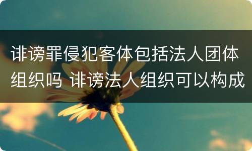 诽谤罪侵犯客体包括法人团体组织吗 诽谤法人组织可以构成什么罪