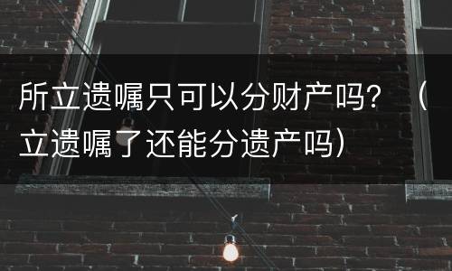 所立遗嘱只可以分财产吗？（立遗嘱了还能分遗产吗）