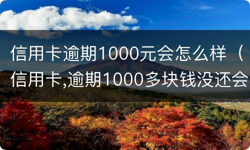 信用卡逾期1000元会怎么样（信用卡,逾期1000多块钱没还会怎么样）