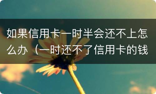 如果信用卡一时半会还不上怎么办（一时还不了信用卡的钱）