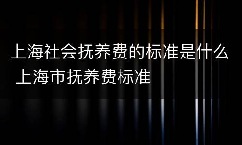 上海社会抚养费的标准是什么 上海市抚养费标准