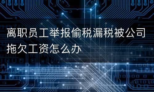离职员工举报偷税漏税被公司拖欠工资怎么办
