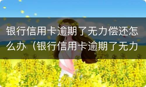 银行信用卡逾期了无力偿还怎么办（银行信用卡逾期了无力偿还怎么办理分36期申请书怎么写）