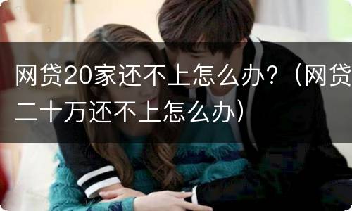 网贷20家还不上怎么办?（网贷二十万还不上怎么办）