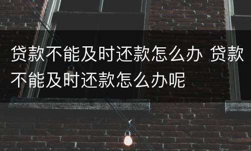 贷款不能及时还款怎么办 贷款不能及时还款怎么办呢