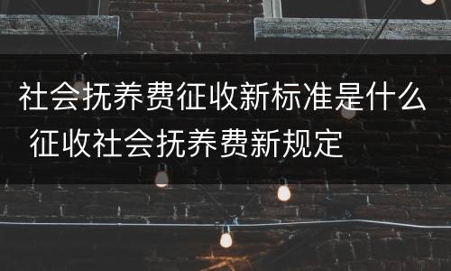 社会抚养费征收新标准是什么 征收社会抚养费新规定