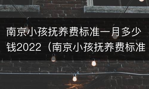 南京小孩抚养费标准一月多少钱2022（南京小孩抚养费标准一月多少钱2022年）