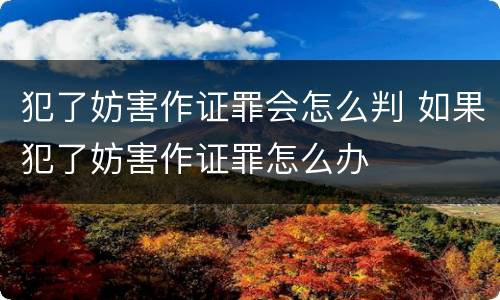 犯了妨害作证罪会怎么判 如果犯了妨害作证罪怎么办