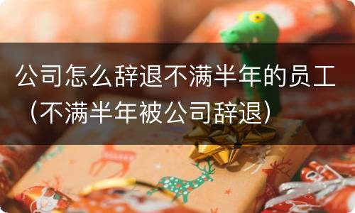 公司怎么辞退不满半年的员工（不满半年被公司辞退）