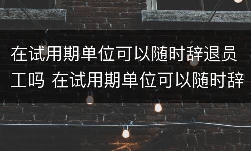 在试用期单位可以随时辞退员工吗 在试用期单位可以随时辞退员工吗合法吗