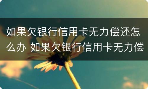 如果欠银行信用卡无力偿还怎么办 如果欠银行信用卡无力偿还怎么办咨询那个法律
