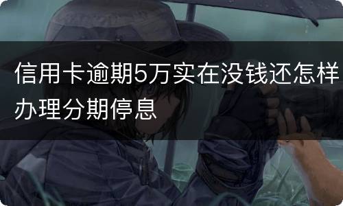 信用卡逾期5万实在没钱还怎样办理分期停息
