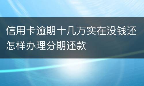 信用卡逾期十几万实在没钱还怎样办理分期还款