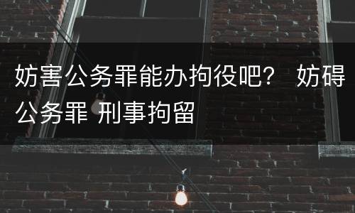 妨害公务罪能办拘役吧？ 妨碍公务罪 刑事拘留