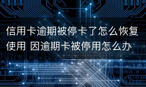 信用卡逾期被停卡了怎么恢复使用 因逾期卡被停用怎么办