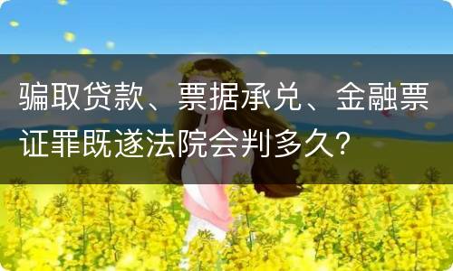 骗取贷款、票据承兑、金融票证罪既遂法院会判多久？