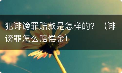 犯诽谤罪赔款是怎样的？（诽谤罪怎么赔偿金）