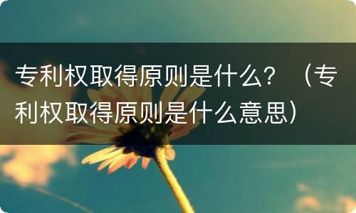 专利权取得原则是什么？（专利权取得原则是什么意思）