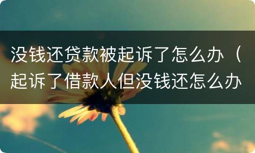 没钱还贷款被起诉了怎么办（起诉了借款人但没钱还怎么办）