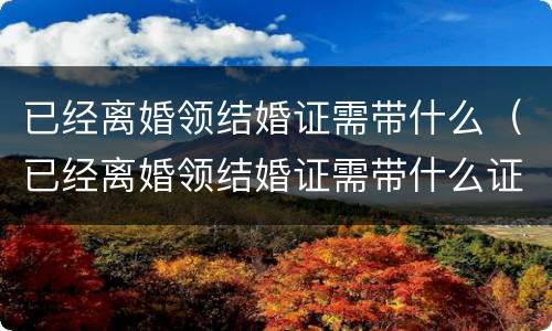 已经离婚领结婚证需带什么（已经离婚领结婚证需带什么证件）