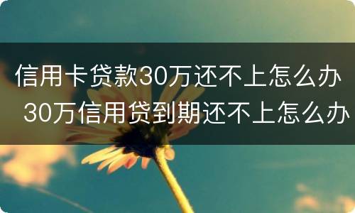 信用卡贷款30万还不上怎么办 30万信用贷到期还不上怎么办