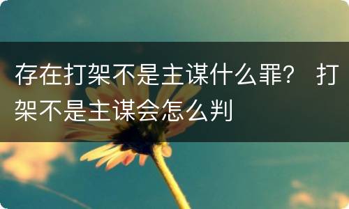 存在打架不是主谋什么罪？ 打架不是主谋会怎么判
