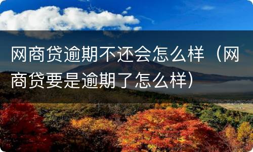 网商贷逾期不还会怎么样（网商贷要是逾期了怎么样）