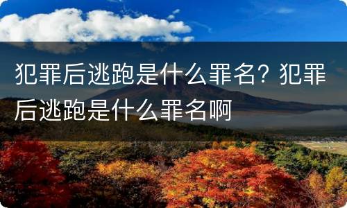 犯罪后逃跑是什么罪名? 犯罪后逃跑是什么罪名啊