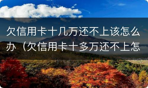 欠信用卡十几万还不上该怎么办（欠信用卡十多万还不上怎么办）