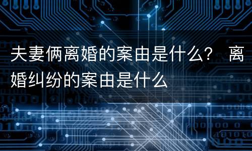 夫妻俩离婚的案由是什么？ 离婚纠纷的案由是什么