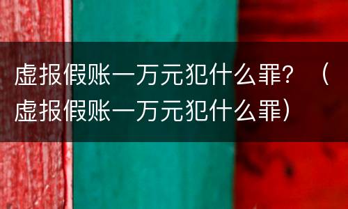 虚报假账一万元犯什么罪？（虚报假账一万元犯什么罪）