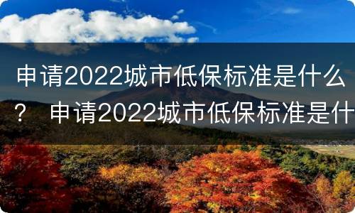 申请2022城市低保标准是什么？ 申请2022城市低保标准是什么意思