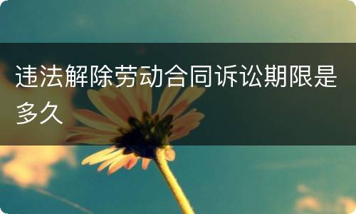 违法解除劳动合同诉讼期限是多久
