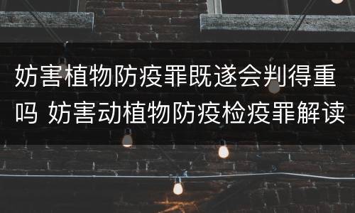 妨害植物防疫罪既遂会判得重吗 妨害动植物防疫检疫罪解读