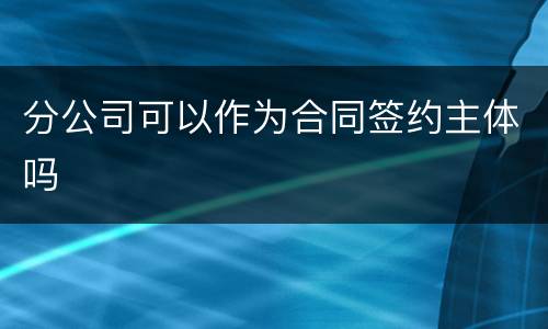 分公司可以作为合同签约主体吗